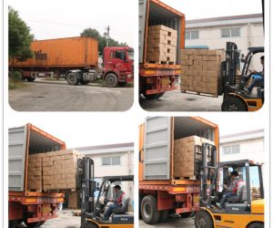 Gulf Cargo Service dubai to oman